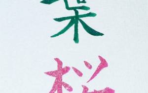 葉桜 - hikari 