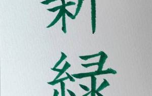 新緑 - hikari 