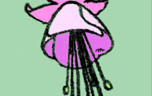 フクシア - minapon 