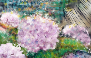 紫陽花 - かずもがな
