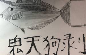 オニテングハギ - 海牛ひろんぱ 