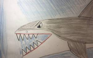絶滅した鮫メガロドン - 海牛ひろんぱ 