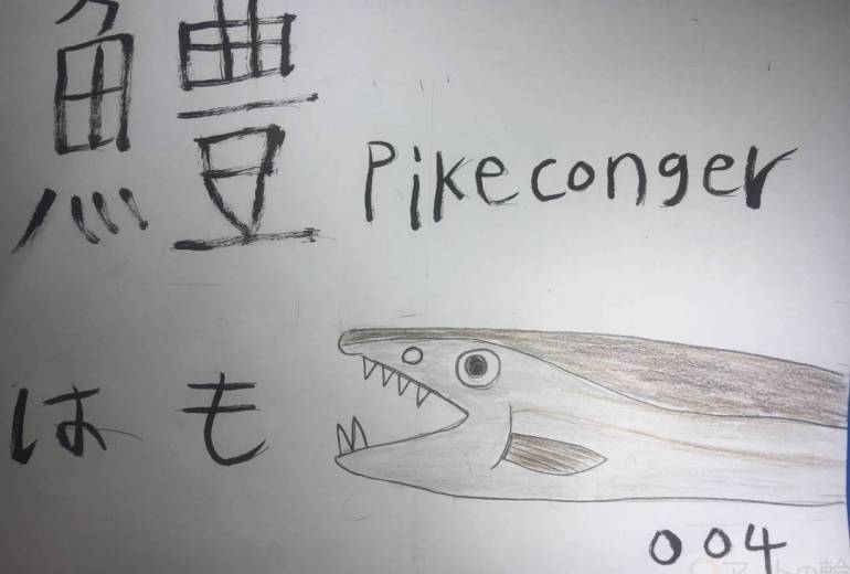 魚ファイル004ハモ