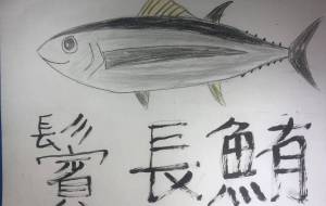 ビンチョウマグロの輝き - 海牛ひろんぱ 