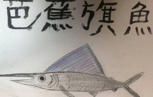 バショウカジキ - 海牛ひろんぱ 