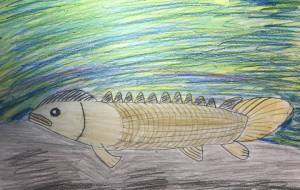 古代魚ポリプテルスの休息 - 海牛ひろんぱ 