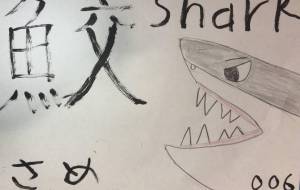 魚ファイル006サメ - 海牛ひろんぱ 