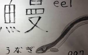 魚ファイル007ウナギ - 海牛ひろんぱ 