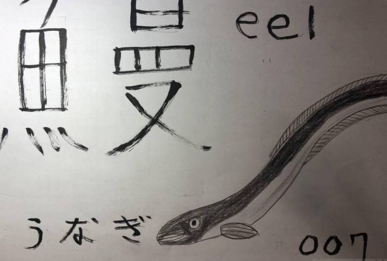 魚ファイル007ウナギ - 海牛ひろんぱ 