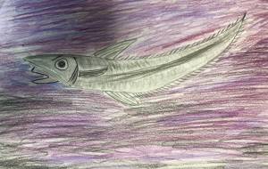 深海魚トウジン - 海牛ひろんぱ 