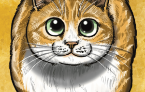 まんまるねこ - Yukari 