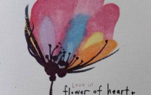 flower of heart - hikari