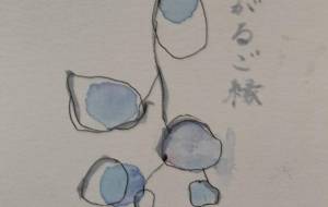 つながるご縁 - hikari 