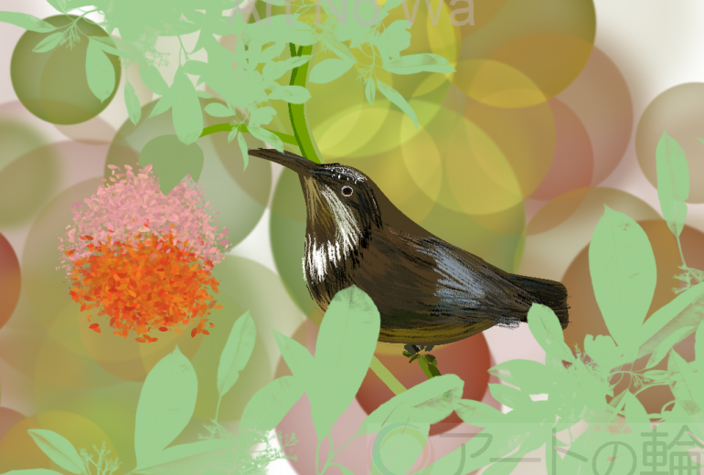 The Little Bird