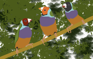 The Three Parrots - Yuri 