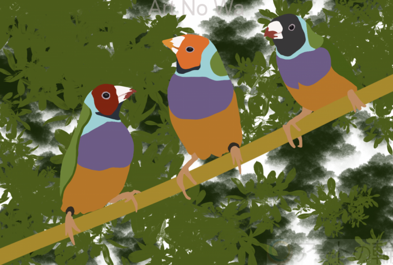 The Three Parrots