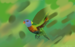 The Colorful Flying Parrot - Yuri 