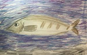 ホッケの昼 - 海牛ひろんぱ