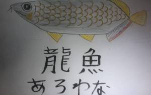 アロワナ - 海牛ひろんぱ 