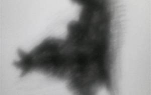 戦火、悲しい母、生きた、悲しい最期（彼女が教えてること） - 真鍋哲地 