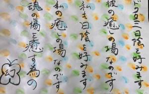 ドクダミ日陰を好みます - 幻蝶　治太郎 