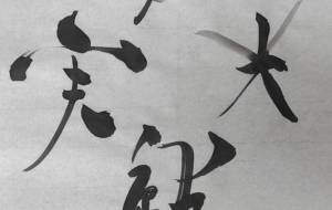 夢光結実 - hikari 