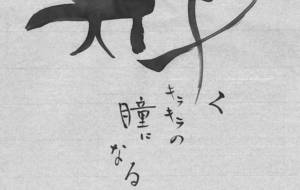 輝く　キラキラの瞳になる - hikari 