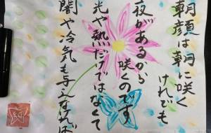 朝顔は朝に咲くけれども - 幻蝶　治太郎 