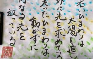 若いひまわりは太陽を追い - 幻蝶　治太郎 
