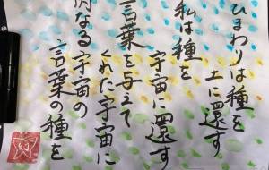 ひまわりは種を土に還す - 幻蝶　治太郎 