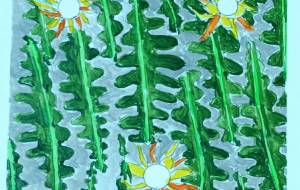 フィッシュボーンカクタスとその花 - いちごめがね 