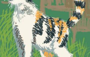 猫 - Hagane 