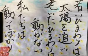 若いひまわりは太陽を追い - 幻蝶　治太郎 