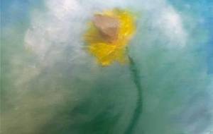 母さん夏だよ！思い出の母さん（眩い光のなか微笑む、思い出の母さん）田舎画家真鍋哲地！ - 真鍋哲地 