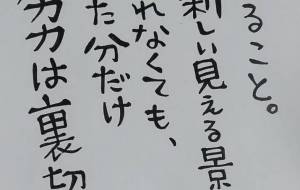 努力は裏切らない。 - 万煉（まれん） 