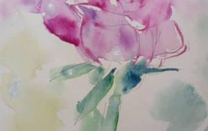 rose - サオリ 