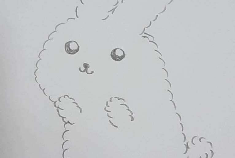 うさぎ - おだんご 