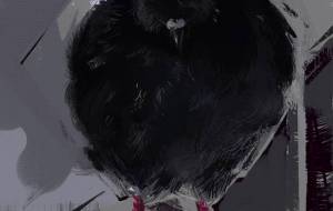 鳩 - 水平器
