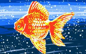 金魚 - Hagane 