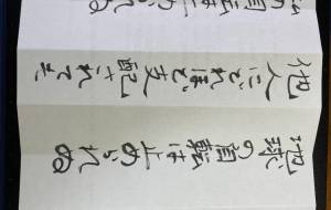太陽がどれほど輝こうとも - 幻蝶　治太郎 