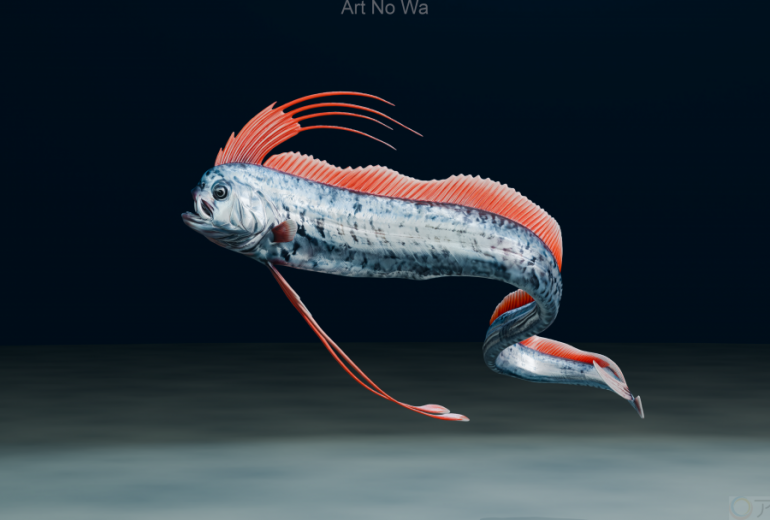 リュウグウノツカイ