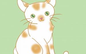 猫じゃらしで遊ばない猫 - 神楽月すう 
