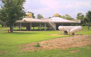 奇妙な公園へようこそ　1 - 社畜女子はトラジェンになりたい 