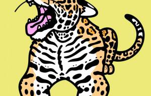 ジャガー - シマハイエナ 