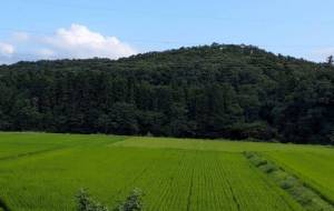仙台の田舎 - 軍曹 