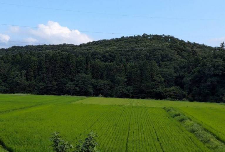 仙台の田舎 - 軍曹 