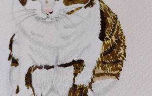 猫ちゃん - 小萩 