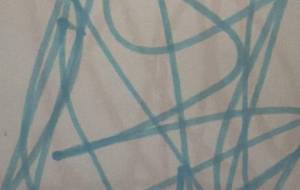 カラー - 笹谷正博 