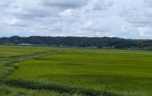栗原市の田園風景 - 軍曹 