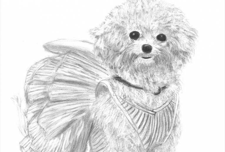 愛犬ミミ - アトリエゆるりと色のこな 